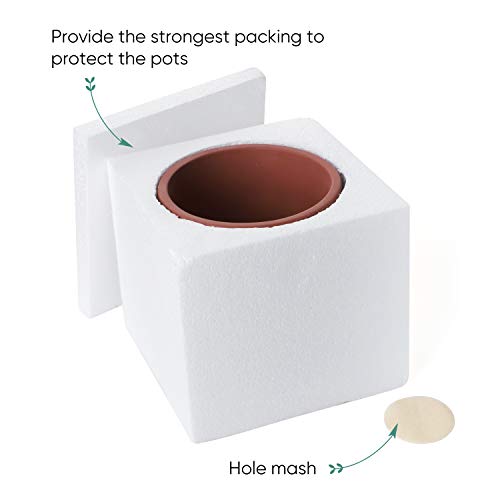 Greenaholics Plant Pots- 4.75 inch Cement Planters Flower Pots, for Snake Plant, Medium Indoor Plant, Vintage Style, Unglazed Medium Bonsai, with Drainage Hole, Terracotta - Thumbnail 4