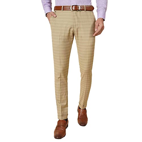 Image of blackberrys Stripes Polyester Viscose Slim Fit Mens Trousers (S22BB45A2IS22F1-P)