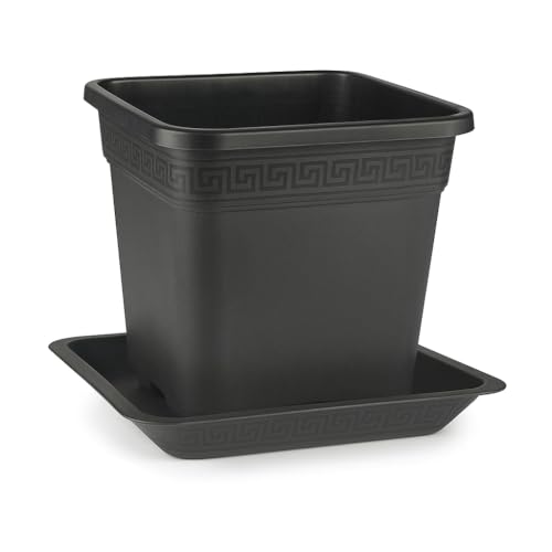 Easy Act Topf viereckig 25L (33,5 x 33,5 x 33,5cm) mit Untersetzer |...