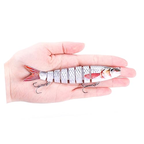 Appâts réalistes forme de poisson contre les refus des carnassiers