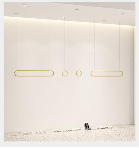 Penderie de plafond réglable pour optimiser les petits espaces - 5