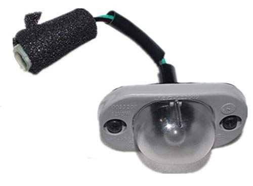 FEILIDAPARTS License Plate Lamp compatible with H1 H-1 Starex 00-07 Trajet 01-03