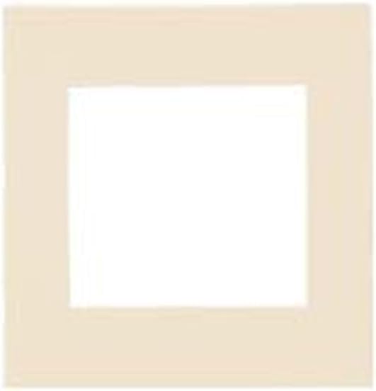 Panasonic Select Outlet Plate for 2 Joint Holes, WTL8500F