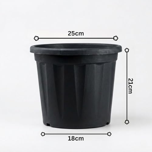 Image of 10 Inch Heavy Duty Plastic Planter | Grower Pot /Garden Pot for Home & Garden (Black) (Pack of 1)