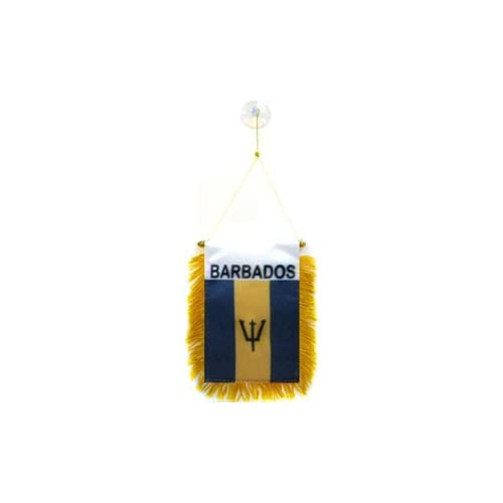 AZ FLAG - Fanion Jamaïque Pour Décoration Voiture Avec Ventouse et Franges Dorées - Mini Drapeau Jamaïcain - 13x10 cm - 2