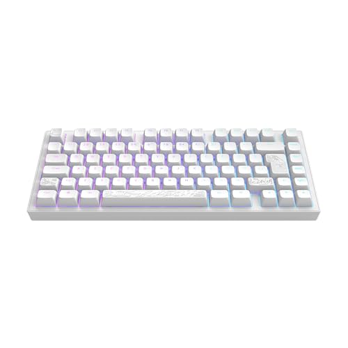 Dark Project ALU81A TERRA NOSTRA Clavier de jeu mécanique | ISO Multi | Hot-Swap | Commutateurs graissés G3MS Moonstone | Stabilisateurs graissés | Montage sur joint flexible | Aluminium | 75 % (81