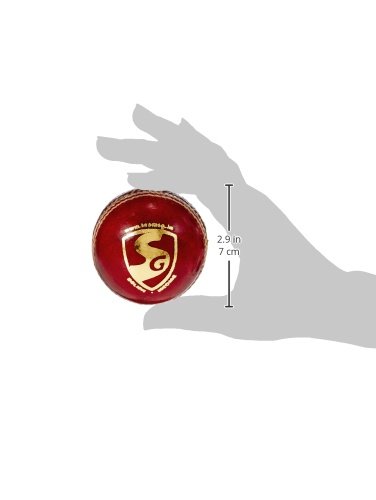 31V81yflaLL