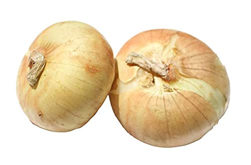 Sweet Delight Onion Sets