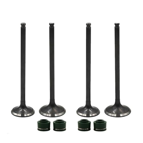 Kit de pièces de moteur moto DR250 : Remplacez vos tiges de soupape usées