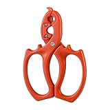 Blumenschere | 2-in-1 Edelstahl Dornenentferner,Gartenschere für Schnittblumen | für...