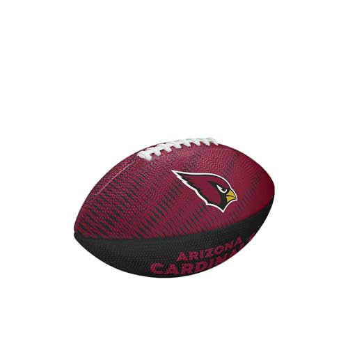 Image of WILSON Unisex NFL Team Tailgate Footballs