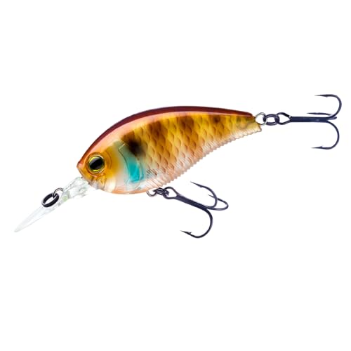 Leurre Yo-Zuri 3DB Crank 1.5 Mr poisson nageur Bluegill Naturel 6.5 cm