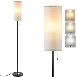 Floor Lamp for Living...