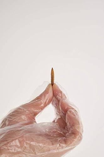 Black Soldier Fly Larvae 5lbs and 22lbs - Image 5