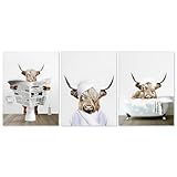 3pcs Highland Cow Wall Art Picture, 20 x 25cm Bathroom Home Background Wall Decoration Poster, Waterproof Highland Cow Canvas for Walls Animals Humor Abstract Prints for Bedroom Kids Room(Style A) - Image 1