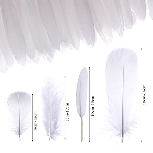 MWOOT 4 Styles Assorted Crafts Feathers, 400Pcs White Feathers - Image 2