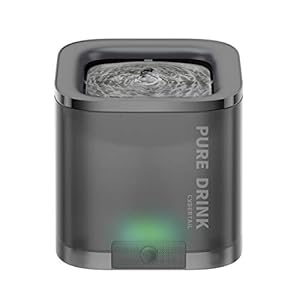 Pet Water Fountain for Small Dogs