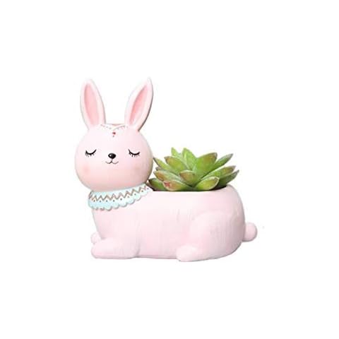 Clound city Cute Pink Rabbit Succulent Planter Pots for Office,Window,Kitchen and Balcony Cover