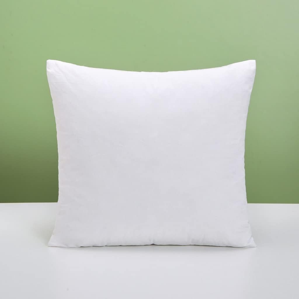 London Dream 2Pack Pure Duck Feather Cushion Inserts 22 x 22 Inches
