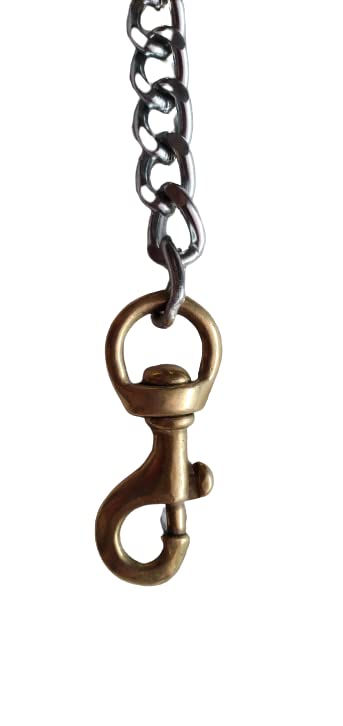 BLESSING DOG CHAIN 8 NO with BRASS HOOK for MEDIUM DOG (B0BPHZJ1KC) Amazon Price History, Amazon Price Tracker
