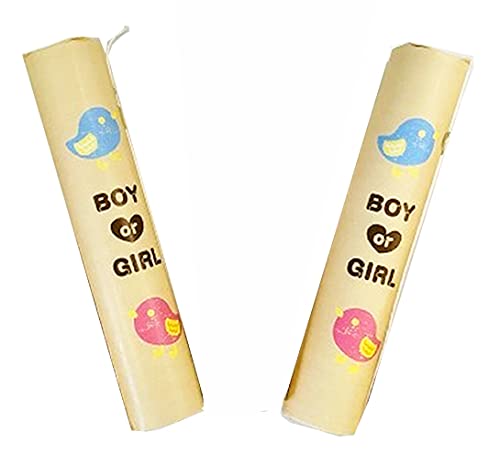 Amazon.co.jp: Boy or Girl 性別発表 散らからない クラッカー