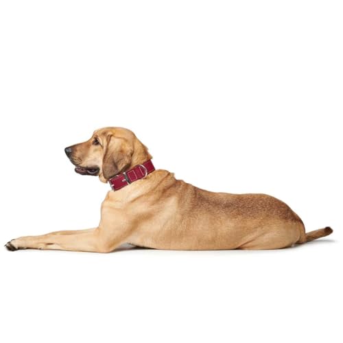 HUNTER AALBORG SPECIAL Hundehalsband, Leder, strapazierfähig, komfortabel, 55 (M), rot