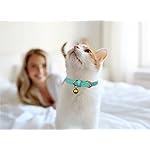 3 Pack Leather Cat Collars with Bells Soft Pet Safety Collar Kitten Collars with Bell Orange Yellow Mint Green(XS) - Image 2