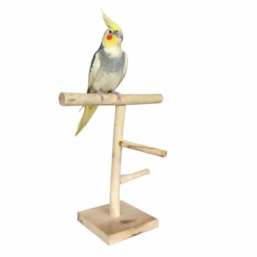 Image of Bird Stand for Parrot, Cockatiel & Lovebirds | Wooden Bird Play Gym with Ladder & Perch | Bird Activity Stand for Cage & Outside | Natural Chew & Exercise Stand for Small Birds