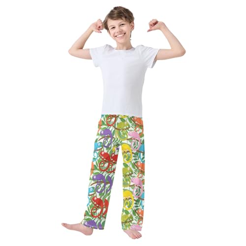 Colorful Chameleon Boys Long Pants Soft Trousers Elastic Waist Kids Lounge Bottoms with Pockets S-XL2