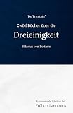 Zwölf Bücher über die Dreieinigkeit (De Trinitate): Eine frühchristliche Darlegung der Trinitätslehre