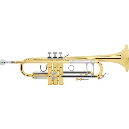 Bach Trumpet-Standard, Lacquer (18037) #TOP3