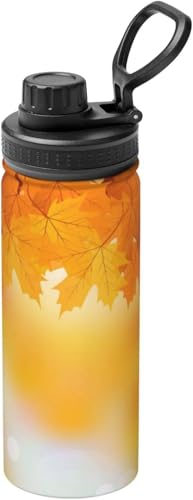 H̗t }OJbv RrjJbv ^fM XeX{g y ۗ 킢E ۉ 530ml  ^ Rɂ 􂢂₷  ʋ ԗp v[g