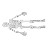 SHINEOFI Menschliches Skelettmodell Bausatz Für Schüler Kompaktes Lernspielzeug Mit Interaktivem Knochenbau Satz Für Wissenschaft Und Schule