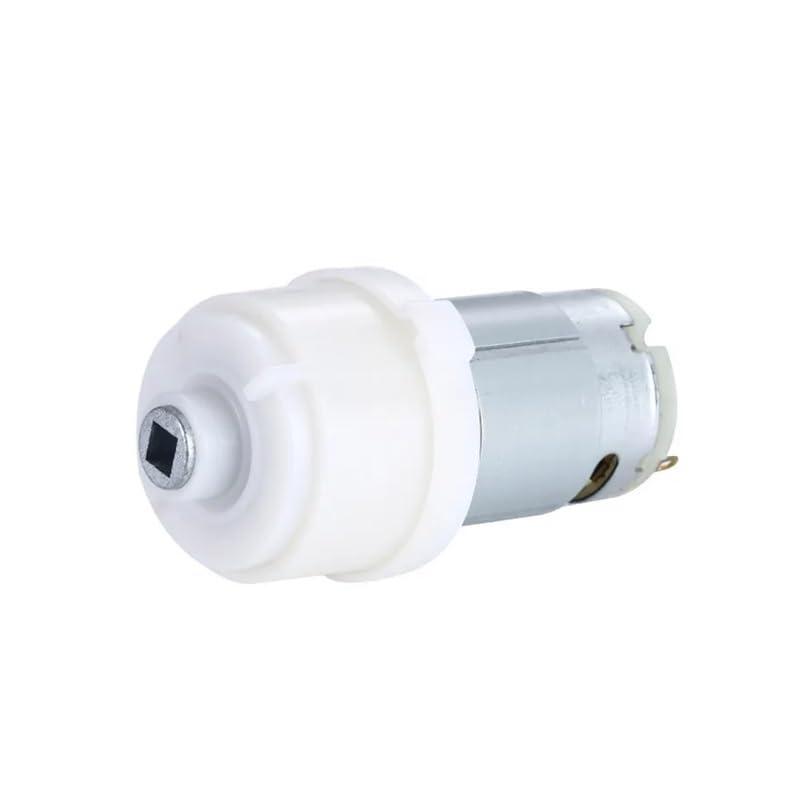 希少完売品☆未使用美品☆稲葉カヨ 豆皿　小皿 福々絵付 ネコ 鶴 辰 ４ケセット 希少完売品☆未使用美品☆稲葉カヨ 豆皿 小皿 福々絵付 ネコ 鶴 辰 4