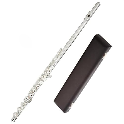 白銅銀メッキボディ 17 キーオープンホール E メカニズムフルート楽器 収納ボックス付き フルートキット