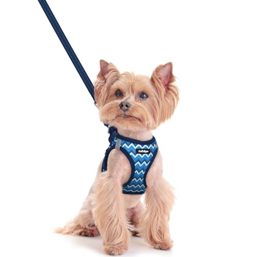 Image of rabbitgoo Dog Harness Small Sized and Leash Set, Step-in Puppy Pet Vest
