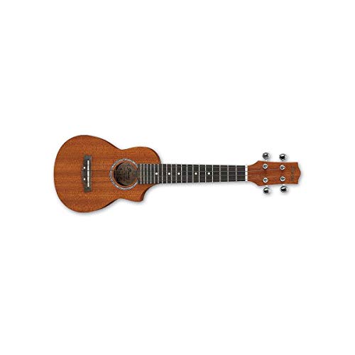 Ibanez, ukulélé 4 cordes, droite, pores ouvertes naturelles (UEW5S) - Les Beatles, Paul McCartney, John Lennon, RIngo Starr, George Harrison Ibanez, ukulélé 4 cordes, droite, pores ouvertes naturelles (UEW5S) – Image 6