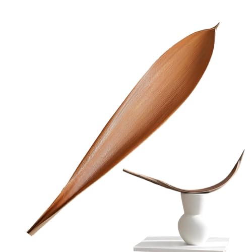 Palma Essiccata Per Mestieri - Decorazioni Di Foglie Secche Di Palma | Decorazione Della Pianta Di Fiori Colore Naturale | Pianta Secca Foglie Di Cacao Naturale Creativo Esotico Per La Sala Per Il Cor