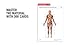 Anatomy Flashcards: 300 Flashcards with Anatomically Precise Drawings and Exhaustive Descriptions + 10 Customizable Bonus Cards and Sorting Ring for Custom Study