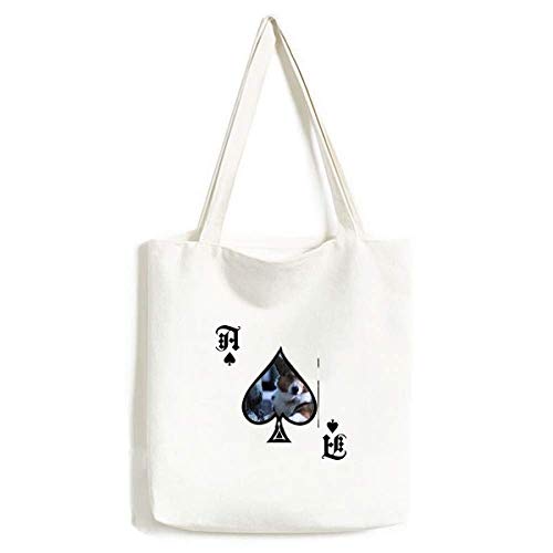 Sac à main lavable pour animal domestique fini les poils et odeurs