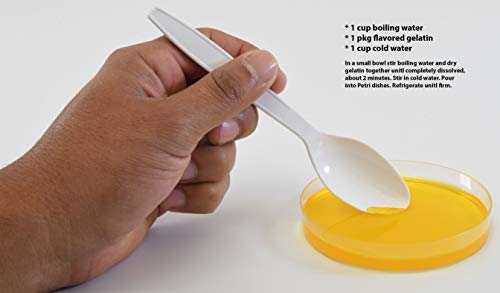 image for Petri Dish, Empty, with Smooth Bottom, Without Stacking Ring, Polystyr