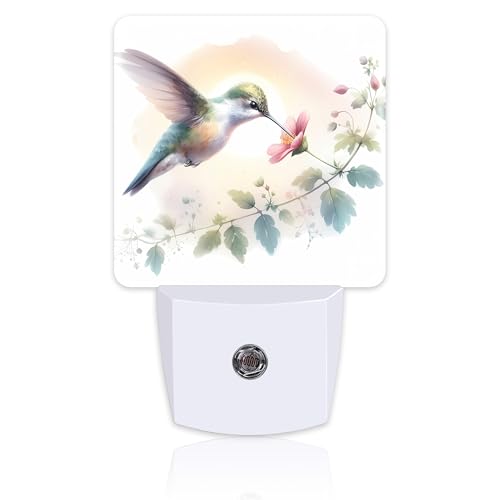 Image of Groovy Hummingbird Flower Night Light for Kids, Watercolor Floral Bird Night Light Plug in with Dusk to Dawn Sensor, 0.5w Energy Saving Sleep Friendly Nightlight for Hallway Stairway Kitchen Bedroom