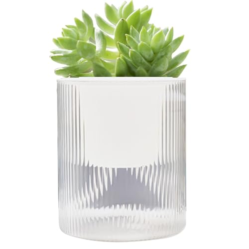 Potes de riego automático – Maceta de riego automática fácil para, maceta transparente con depósito de agua | Maceta redonda con hilo de algodón absorbente para todos,