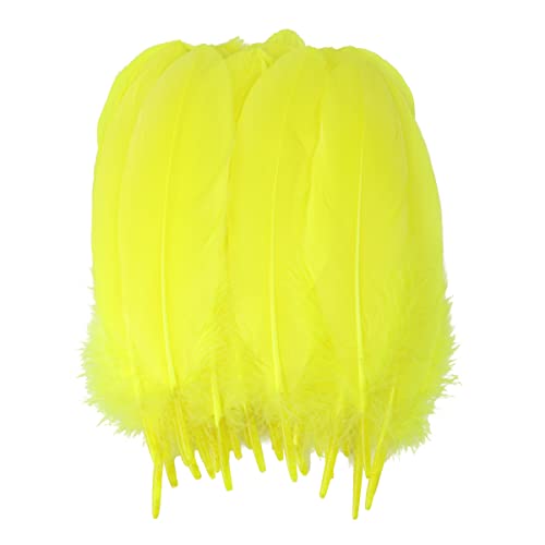 jweemax 100PCS Natural Goose Feater, Colorful Swan Feather for Wedding Party Decoration Handicraft Accessories