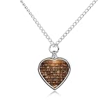 VstaDank Books-png Pet Cremation Jewelry for Ashes Personalized Pet Urn Necklace Heart Ashes Necklace for Dog's/Cat's Memorial Keepsake Pendant with Funnel for Pets Loss Gift
