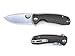 Western Active Honey Badger Pocket Knife Flipper EDC Knife for Hunting, Fishing, Tactical. Deep Pocket Carry Clip Gift Box with Torx Wrench (Black-D2, Medium 2.96oz - 4.1" Closed - 3.2" Blade)