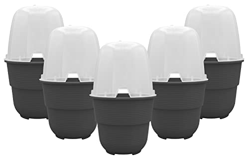 Plastard 5er-Set Anzuchthaube mit Blumentopf 16 cm Durchmesser Anthrazit...