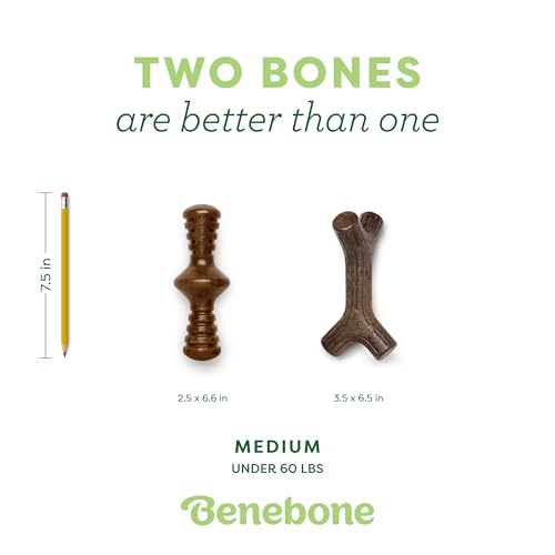 image for Benebone 2-Pack Maplestick/Zaggler Durable Dog Chew Toys, Real Maplewo