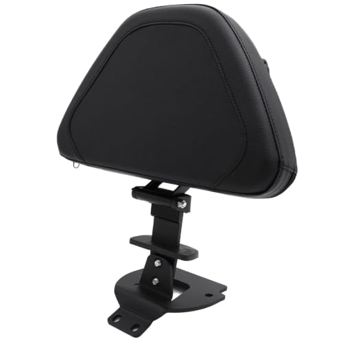 Dossier moto conducteur haut de gamme Goldwing GL 1800 F6B