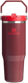 STANLEY The IceFlow™ Flip Straw Tumbler | 30 OZ with carry handle & straw | Cranberry